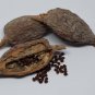 Alligator Pepper Wesa 60 Seeds