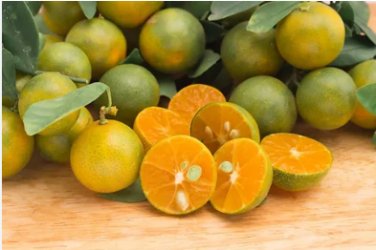 New Calamansi Calamondin Lime 40 Seeds
