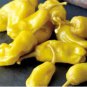 Pepperoncini Pepper 60 Seeds