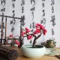 Fragrant Winter Bonsai Flower Yellow Red Pink 10 Seeds