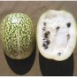 Fin Melon Chilacayote Fig Leaved Malabar Gourd Plant 40 Seeds