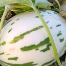 Snow Leopard Melon 200 Seeds