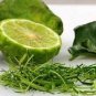 Thai Kaffir Lime 60 Seeds