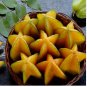 Imported Carambola 200 Seeds