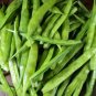 Guar (Cluster Beans) Easy to Seasons Meaningful Gift 200 Seeds