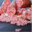 Ice Pink Finger Fruit Lime 200 Seeds