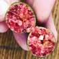 Ice Pink Finger Fruit Lime 200 Seeds