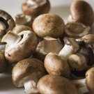 Delicious Mushrooms 2000 Seeds