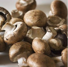 Delicious Mushrooms 2000 Seeds