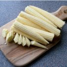 Mini Baby Sweet Corn Vegetable Poporn 500 Seeds