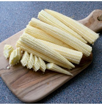 Mini Baby Sweet Corn Vegetable Poporn 500 Seeds