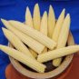 Mini Baby Sweet Corn Vegetable Poporn 500 Seeds
