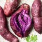 Purple Yam Purple Ginseng Long Taro Cylindrical Roots 200 Seeds
