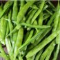 Cluster Bean 100 Seeds