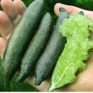 Novel Finger Limes Citrus Pomegranate Bonsai Delicious Sweet Fruit Bonsai 40 Seeds