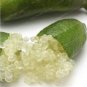 Novel Finger Limes Citrus Pomegranate Bonsai Delicious Sweet Fruit Bonsai 40 Seeds