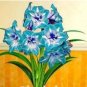 Amaryllis Chinese Flower Flores, Amarilis Bonsai 200 Seeds