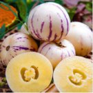 Genuine! Melon Tree 200 Seeds