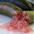 Ice Pink Finger Fruit Lime 200 Seeds