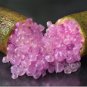 Ice Pink Finger Fruit Lime 200 Seeds