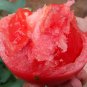Premium 'China Veggies No.4' Tomatoes 400 Seeds