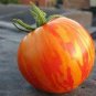 Red Zebra Tomatoes 400 Seeds