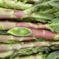 Red Asparagus Lettuce 4000 Seeds