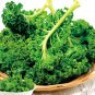 'Blue Ridge' Kale 200 Seeds