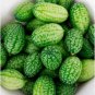 Cucamelons Mexican Sour Gherkins 100 Seeds