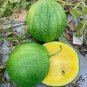 'Xiaolan Peeling' Series Watermelon 40 Seeds