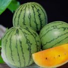 'Rainbow Ice Cream' Series Watermelon 40 Seeds