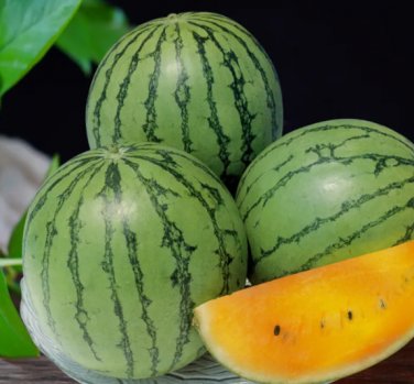 'Rainbow Ice Cream' Series Watermelon 40 Seeds