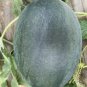 Black Skin Yellow Flesh Watermelon 400 Seeds