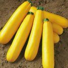 Banana Zucchini 'Yellow Banana' series featuring vibrant yellow gourds 20 Seeds