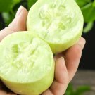 Tiny Elegance Fruits: Miniature Butter Thumb Cucumber 20 Seeds