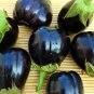 Black Beauty Eggplant 400 Seeds