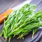 Fragrant Finesse: Blue Flowering Rosemary Collection 100 Seeds