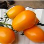 'Radiant Gold' Yellow Tomatoes 400 Seeds