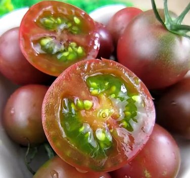 'Purple Pearl' Cherry Tomatoes 200 Seeds