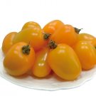 'Yellow Saint' Cherry Tomatoes 400 Seeds