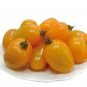 'Yellow Saint' Cherry Tomatoes 400 Seeds