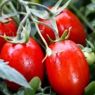 Top-Performing Salad Tomatoes 400 Seeds