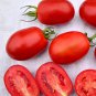 Top-Performing Salad Tomatoes 400 Seeds