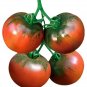 'Strawberry Fruit' Tomatoes - Perfectly Balanced Flavor 200 Seeds