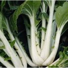 Tall Stem Bok Choy 1000 Seeds