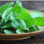 Dwarf Spinach 20 Seeds