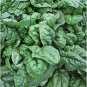 Swift No.9 Spinach 20 Seeds