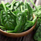 Salad Baby Spinach 20 Seeds