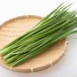 Divine No.2 Chinese Leek 10 Seeds