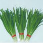 Divine No.1 Chinese Leek 10 Seeds